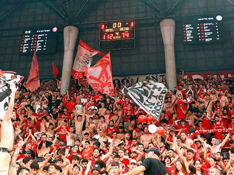 ידחפו את הקבוצה עד לתואר? (אלן שיבר)