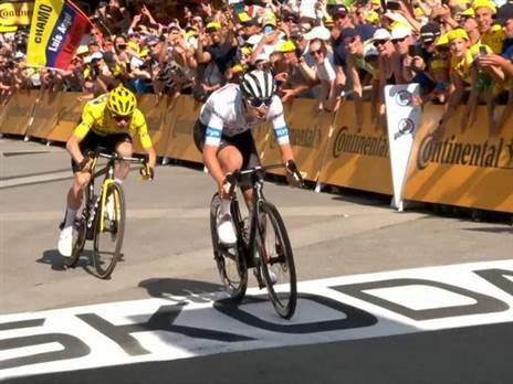 וינגגור ופוגצ'אר | צילום מסך