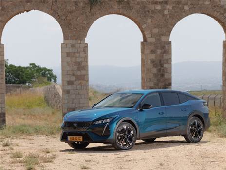 (צילומים: רונן טופלברג)