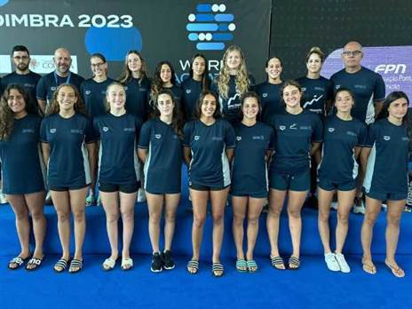 (איגוד הכדורמים)