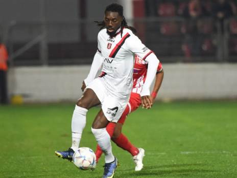 (ברני ארדוב)