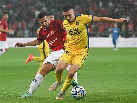 מקדמה משמעותית (ברני ארדוב)