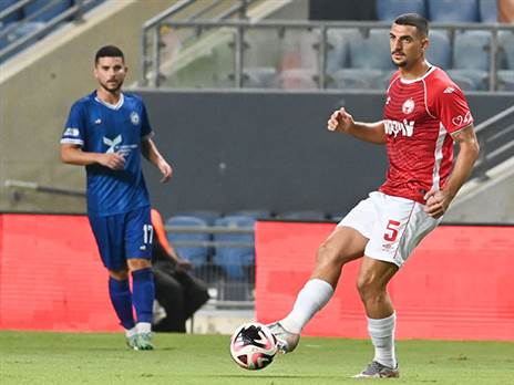 (ברני ארדוב)