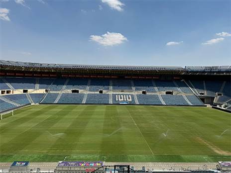 חוזר לפעילות. טדי כפי שהוא נראה היום