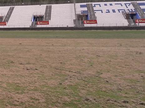 כך נראה הדשא בקריית שמונה