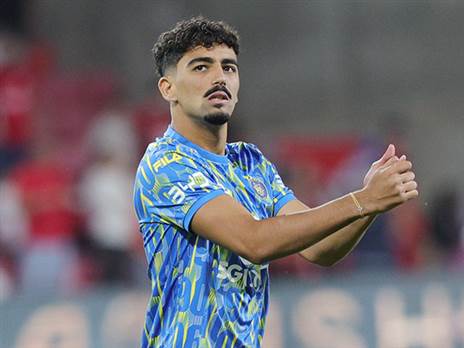 (ברני ארדוב)