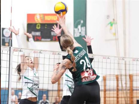 (איגוד הכדורעף)