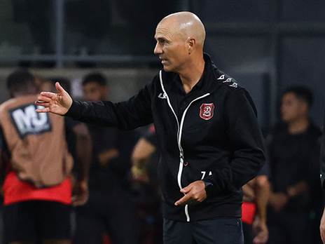 רוצים אותו לעונה נוספת. אריה (אלן שיבר)