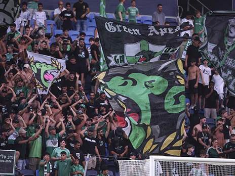 (מאור אלקסלסי)