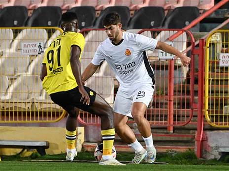 (ברני ארדוב)