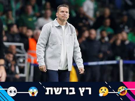 (אלן שיבר)