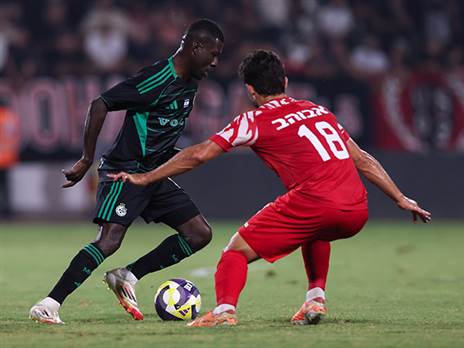 (מאור אלקסלסי)