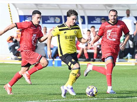 (ברני ארדוב)