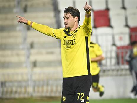 (ברני ארדוב)