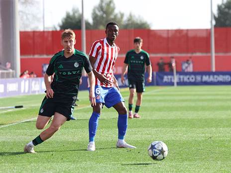 אתר מכבי חיפה