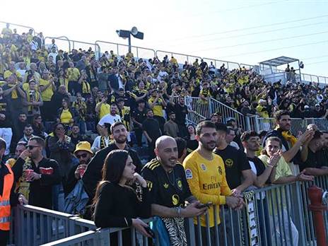 (ברני ארדוב)