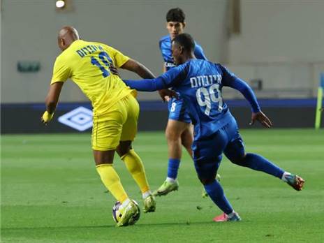 (אודי ציטיאט)