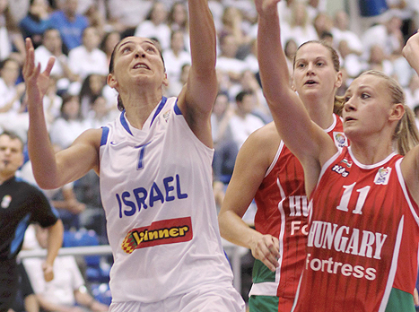 לירון כהן. זה לא מה שיחזיר את הביטחון (אלן שיבר)