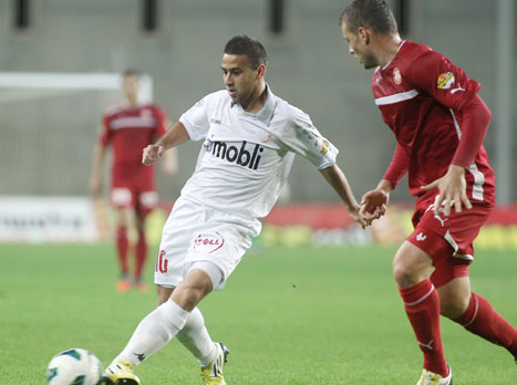 קרוב לחתימה בסכנין. סבע (אלן שיבר)