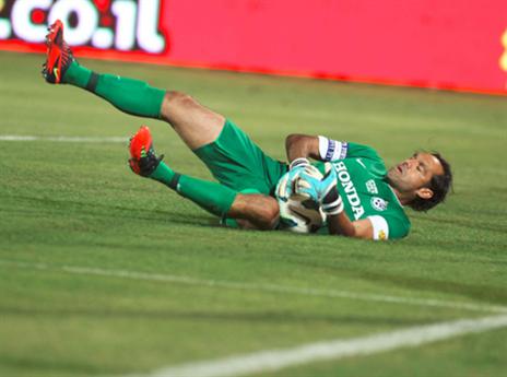 ג'וב חדש. דוידוביץ' (צילום: אלן שיבר)