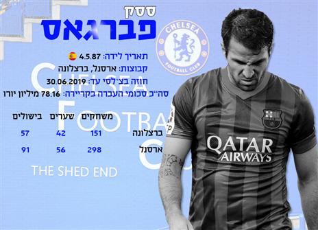 לחצו לצפיה בגודל מלא (אינפוגרפיקה: אריק פרימו)