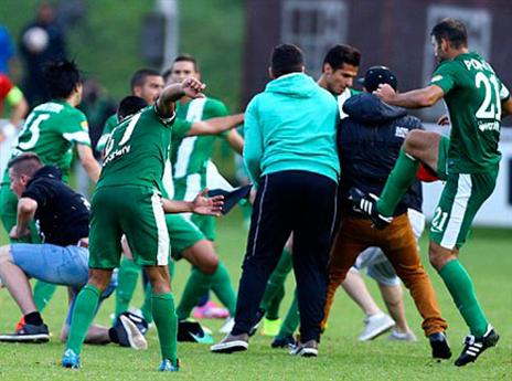 הרבה ירוקים הצטרפו למהומה