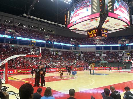 כי השנה ירושלים גם חמושה בארנה (אלן שיבר)