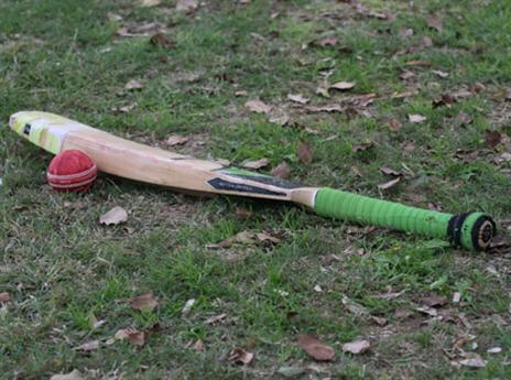 (צילום: רועי אסרף, ידיעות הדרום)