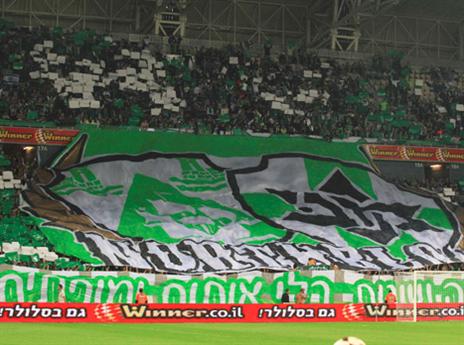 ממשיכים להגיע בהמוניהם (אלן שיבר)