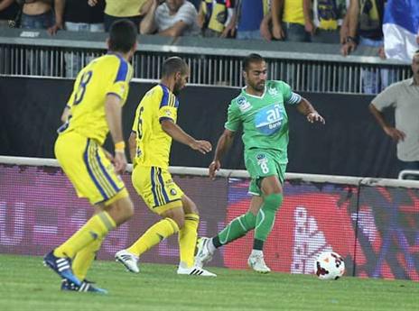 טיבי במעקב (צילום: אלן שיבר)