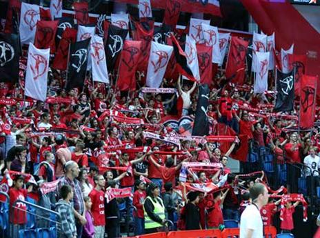 הלפרין בונה עליהם (אלן שיבר)