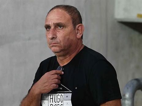 קיץ דל. דמאיו (אלן שיבר)