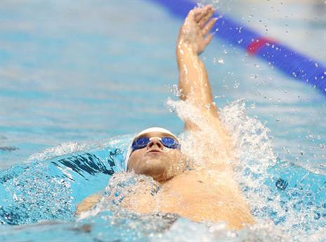 אושר גדול. נבו (אלן שיבר)