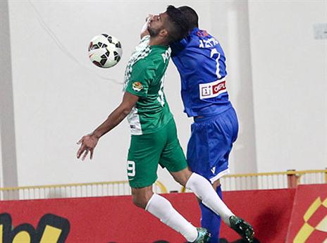 סיכוי גדול שיישאר. גוזלן (דני מרון)