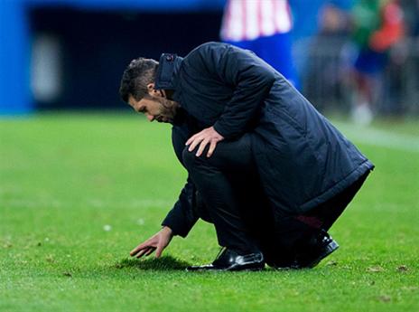 סימאונה מסדר את הדשא (Getty)