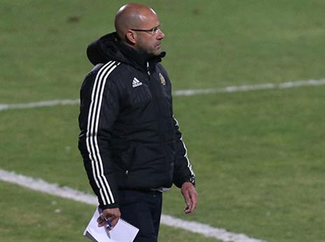 בוס נהנה בישראל (צילום: יוסי שקל)