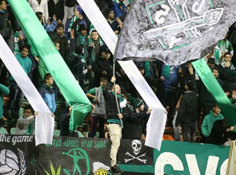 היציע בירוק לבן (אלן שיבר)