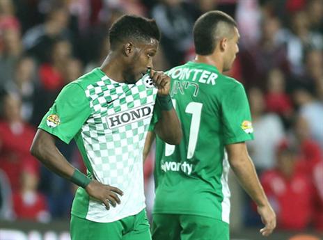 טוואטחה. שוב לא בסגל (אלן שיבר)