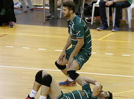 הירוקים מאוכזבים (אלן שיבר)