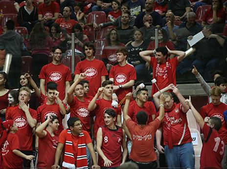 אוהדי מטה/אשר עכו. עוד צלחת לארון העמוס (אנצ'ו גוש)