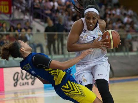 תורנטון מול קלארק (עודד קרני)