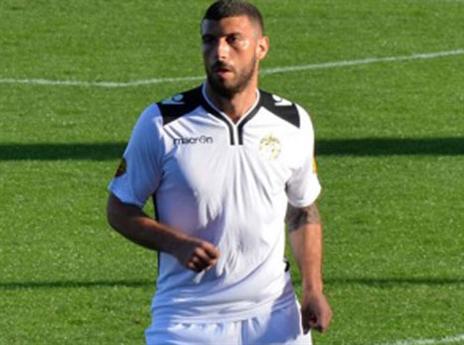 (מיכאל מלכין)