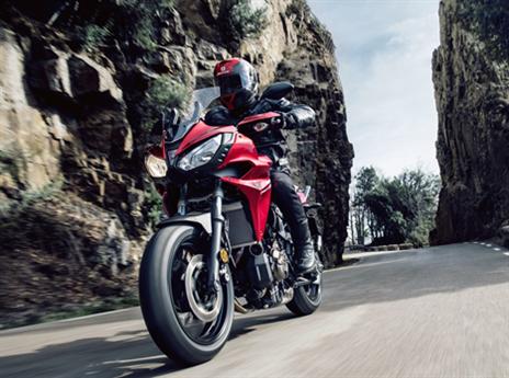 (צילום: יצרן)