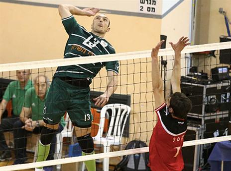 ממשיך לעונה נוספת. דבש (אלן שיבר)