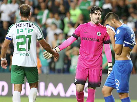 הפנים לק"ש (אלן שיבר)