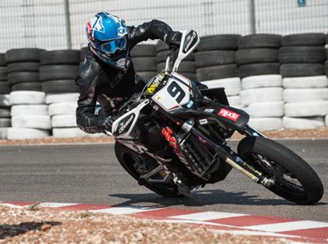 ענף מלהיב (בני דויטש)