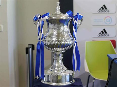 המסע לעבר החלום (אלן שיבר)