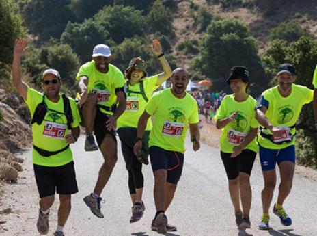 (גלעד קוולרצ'יק)