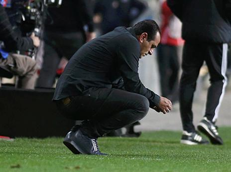 (צילום: אלן שיבר)