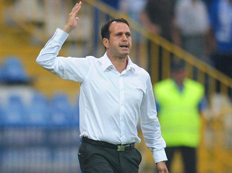 פורח מחדש. רוני לוי (getty)